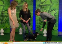 https://www.wellnesspetfood.com.au/wp-content/uploads/2014/07/today-show-feb-2011-1.jpg